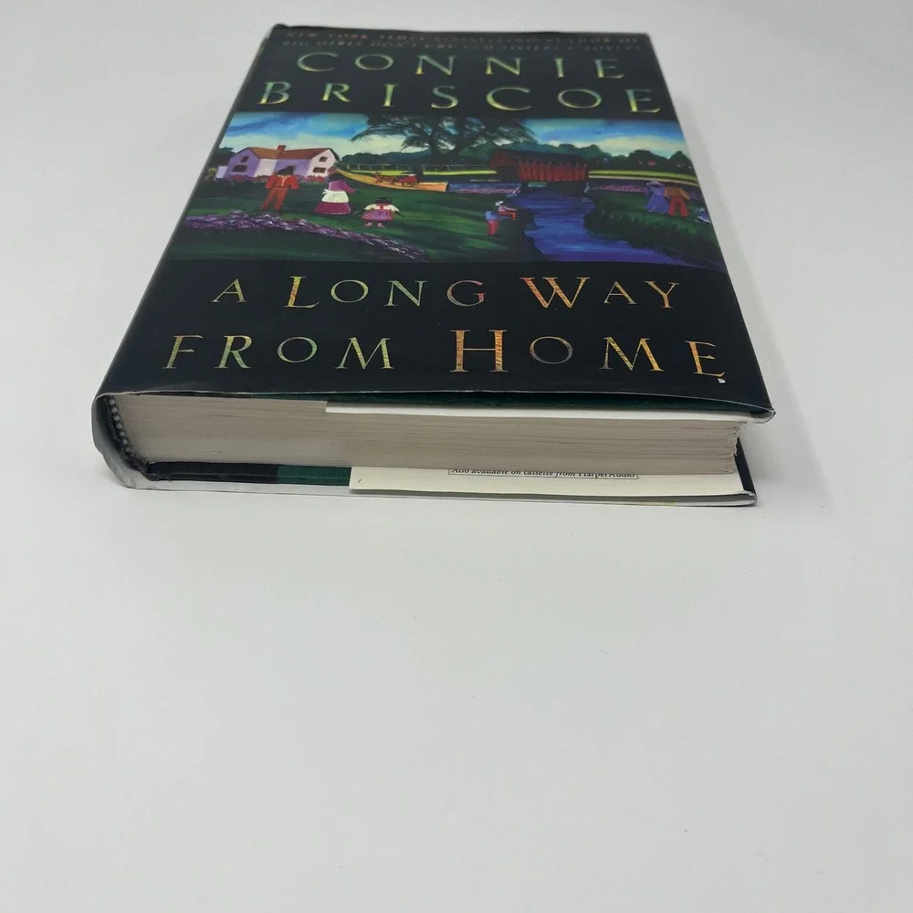 A Long Way from Home By Connie Briscoe 1999 Paperback‎ Novel Book Fiction